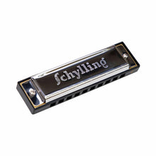 Load image into Gallery viewer, Blues Harmonica