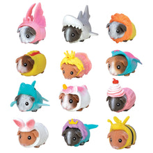Load image into Gallery viewer, Twelve small guinea pig toys dressed in different colorful costumes, arranged in a 3-by-4 grid on a plain white background. The costumes include pink bunny ears, a shark mouth, orange flames, a yellow sandwich, a pink crown, turquoise wings, a blue shark tail, a white and pink princess dress, a pink and white cupcake, a turquoise shark hood, a white dress with a yellow flower, a pink and white dress with a cherry, a white bunny hood, a purple crown, and a yellow bee costume.
