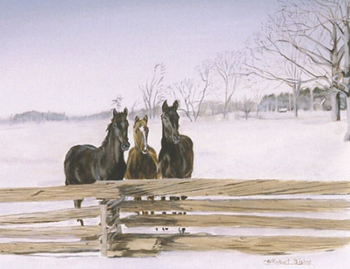 Canvas print of three horses. Painting done by artist robert Bishop.