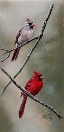 Canvas print of female and male Cardinal.