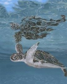 Matted print of sea Turtle.