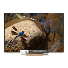 Load image into Gallery viewer, Photo chalk board with image of a resting dragonfly.
