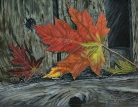 Canvas print of fall colour maple leaf. Painting done by artist Robert Bishop.