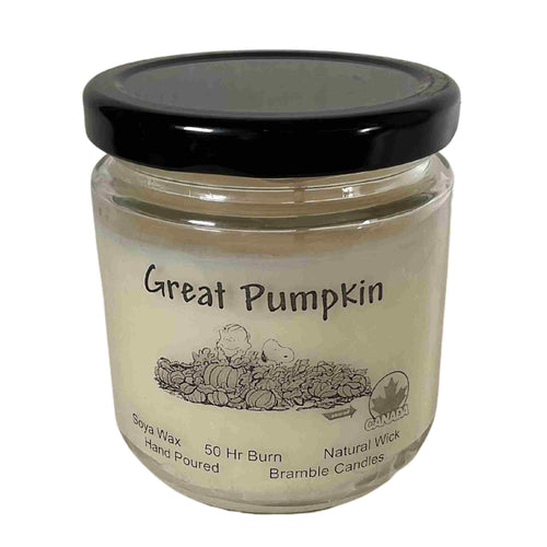 Great pumpkin soy scented candle.