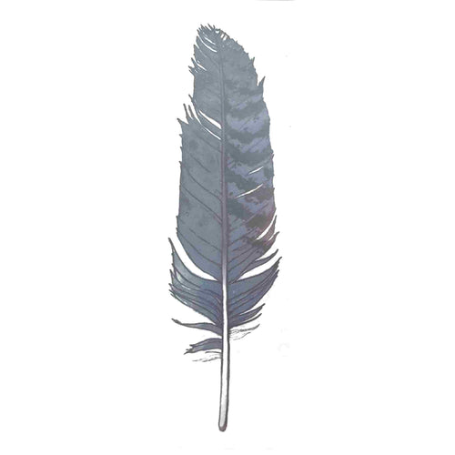 Blue Jay feather tattoo.