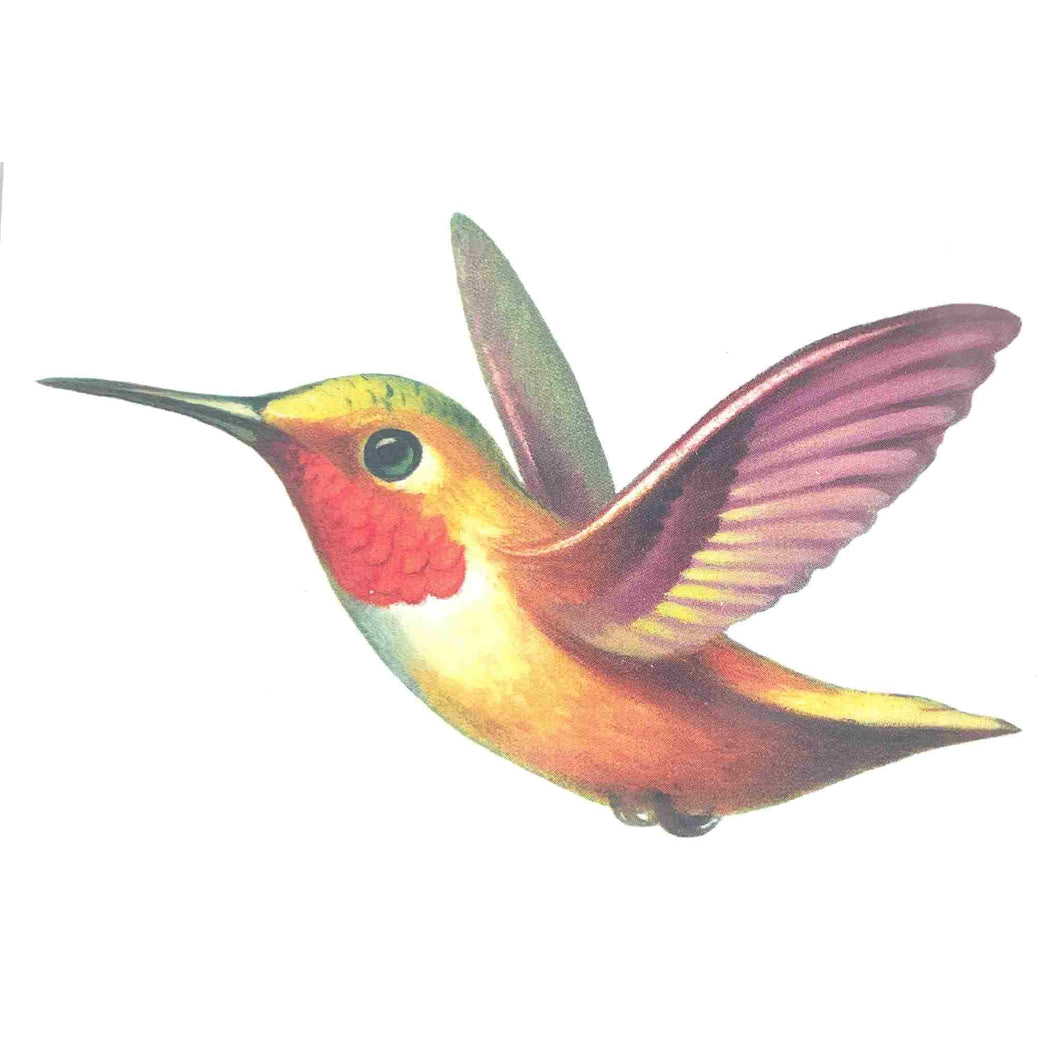 Hummingbird tattoo.