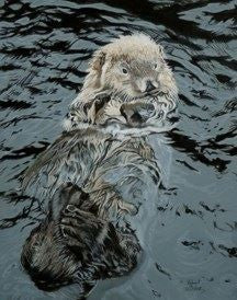 Matted print of Otter.