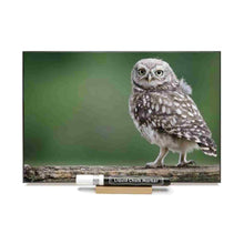 Load image into Gallery viewer, Photo chalkboard with photo of barn owl.
