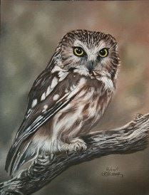 Matted print of Saw Whet Owl.