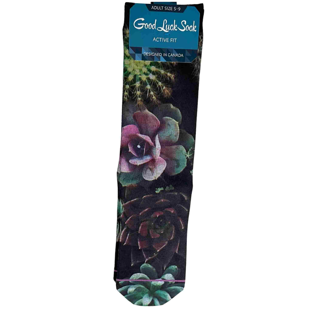 Socks with image of Succulents. 