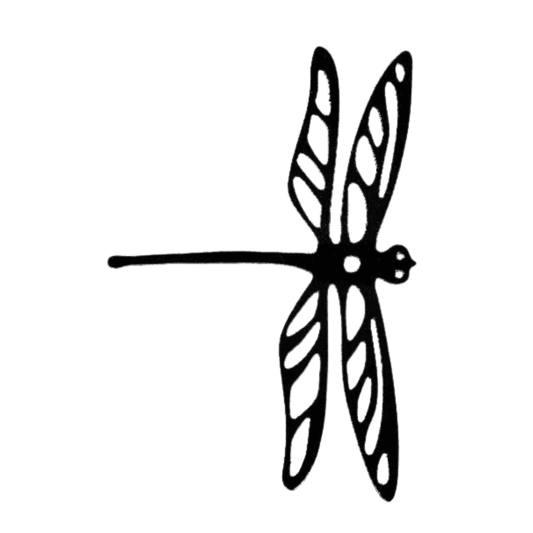 Metal work of a Dragonfly.
